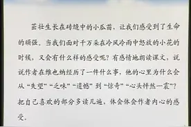 人教语文4下-24、花的勇气视频封面