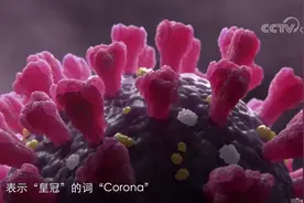 新冠病毒在电子显微镜下长什么样子？Corona的由来是什么？（来源