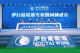 #茅台 #茅台葡萄酒 #青鸾 #橡木桶 #了不起中国葡萄酒视频封面