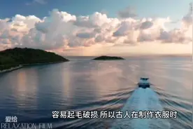 “领袖”一词的来源#文学常识 #历史故事#知识分享视频封面
