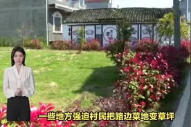 #雄安新区 这些村庄不会拆了 #美丽乡村 #和美乡村视频封面