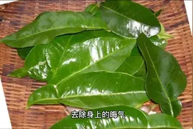 接亲人出狱回家，有什么讲究？#服刑家属 #服刑 #服刑人员