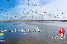 这里是山东，黄河从这里入海！视频封面