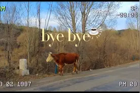 带娃露营，只有0次和100次。拥抱自然，玩水玩泥巴，抓鱼抓虾视频封面