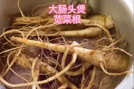 大肠头煲刺苋菜根汤，喝过吗？农村随处可见的好东西，作用非常大
