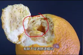 #橘子的功效与作用 #多吃水果不如吃对水果视频封面