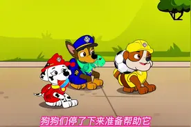 汪汪队儿童动画片#汪汪队立大功  #动画片儿童视频3-6岁 #汪汪队视频封面
