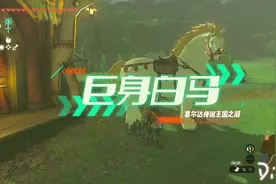 塞尔达传说王国之泪巨身白马获取攻略，帅就行了！#塞尔达视频封面