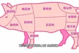 一图教你辨别不同部位猪肉，买肉不再上当视频封面