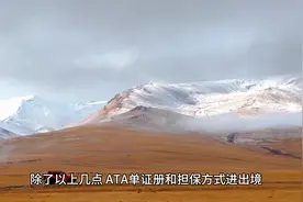 ATA停用了，还能自驾车辆出境旅行吗？#中亚五国