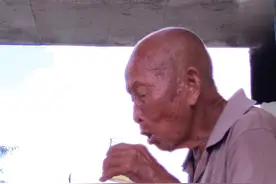 大热天泡一杯野生金银花茶解暑，配上纯野蜂蜜，是农村98岁爷爷视频封面
