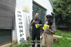 探访流浪狗救养基地：关爱自然 尊重生命（二） #第三只眼看中国视频封面
