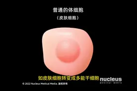 什么是干细胞？干细胞疗法？ 【3D医学动画】干细胞视频封面