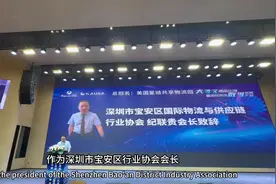 深圳市宝安区国际物流与供应链行业协会会长讲话视频封面
