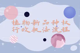 植物新品种权的行政执法流程调查取证与法制审查 #植物新品种权视频封面