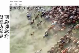 国外网友看新疆天马节，国外网友：这真是太震撼了