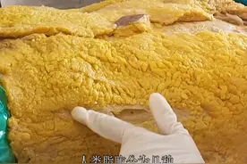你知道人类脂肪分为几种吗#左旋肉碱 #左旋十万 #左旋视频封面