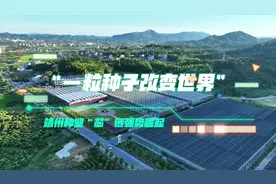 “一粒种子改变世界”——靖州种业“芯”链强势崛起 #靖州视频封面