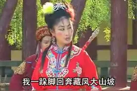 琴书【飞龙传】7部《众女将大战北国》04 #传递戏曲文化