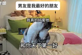 男友是我最好的朋友 #情侣 #内容过于真实 #情侣日常 #猫meme