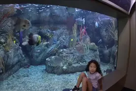 洛杉矶Aquarium of the Pacific洛杉矶一日游，不知去哪视频封面