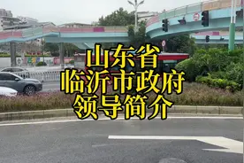 山东省临沂市政府领导简介#山东dou知道 #山东 #临沂视频封面
