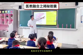 今天再次给小学四年级的同学们科普人体胆囊
