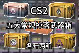 cs2五大常规掉落武器箱！哪个武器箱能出货回本？各开两箱！视频封面