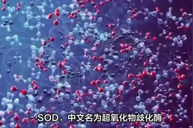 【科普】我们为什么要补充SOD 【科普】我们为什么要补充SOD视频封面