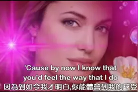 I Love You 我愛你 Celine Dion席琳迪翁视频封面