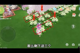 你从没见过的杂交方法（全是干货） #心动小镇