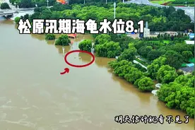 松原镇江神龟。明天估计就看不见了，天佑我大松原 #防汛视频封面