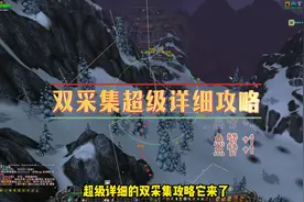 WLK双采超详细攻略，插件设置教程，赶快学起来把 #魔兽双采