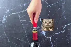 红酒开瓶器真的好用吗？#测评 #红酒开瓶器 #红酒正确打开方法视频封面