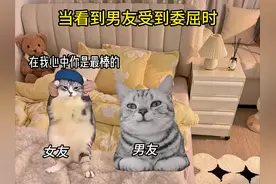 当看到男友受到委屈时 #猫咪表情包 #情侣 #情侣日常 #情侣视频封面