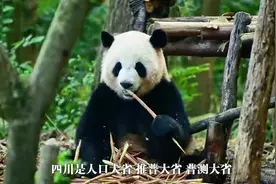 四川是人口大省、推普大省、普测大省。三十年时光荏苒视频封面