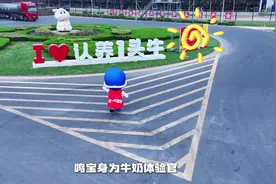 你们知道当一头牛有多爽吗？鸣宝带你去现代化牧场看看现在的奶牛视频封面