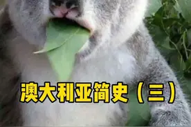 澳大利亚简史（三）英国为什么允许澳大利亚独立呢？￼#轻知识计划 #澳大利亚视频封面