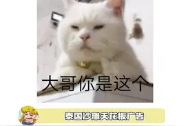 泰国广告不看到最后，永远不知道在卖什么，被一对壁虎的爱情感动到了呜呜呜~#泰国广告  #爱情#壁虎 视频封面