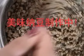 纳豆的功效与作用润肠通便、调节血糖、排毒养颜！#纯手工零添加