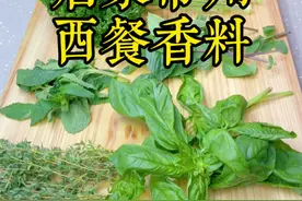 西餐香草有很多，选一点点个人比较常用的讲讲，其中迷迭香 百里香和欧芹可以放得久一些，其他三种很脆弱存放时间短视频封面