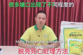 高温期螃蟹脱壳不遂，拉脚、软壳蟹损伤原因分析及处理方案视频封面