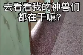 你们要的绿头鱼来了...这神兽已经坐不住了！#校园生活 #记录校园生活 #学校 #可爱的学生视频封面