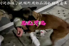 当忍无可忍的时候，就不要再忍，面对街头混混别再惯着他们视频封面