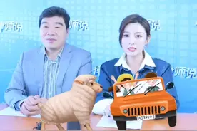 在高速公路上撞死羊？不要怕，责任在它！