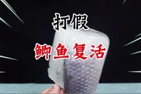 把鲜活的鲫鱼冻成冰棍，然后放入鱼缸化冻后居然复活了？它真能起死回生吗？#打假 #测评 视频封面