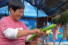 答应你们的丝瓜储存视频来喽，一共两种冷冻方法，炒鸡蛋吃口感几乎没区别，建议采用第一种方法就行了，简单方便又省事！#乡村守护人#新农人计划2022#我的乡村生活#丝瓜     视频封面