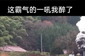 最喜欢听的还是铁轨的敲击声，请慢慢听完最后那段声音最清晰也非常的醉人#蒸汽火车 好想再坐一次可惜没有绿皮了视频封面