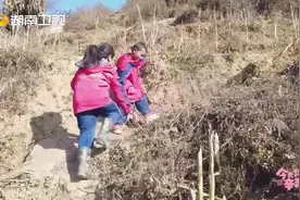 #今天你也辛苦了 奶奶这辈子都没出过大凉山，当珍珠离开时视频封面