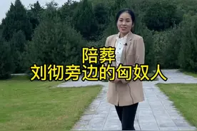 从一个叛军到托孤大臣，他是怎样的人生经历呢#金日磾 #热门#历史
